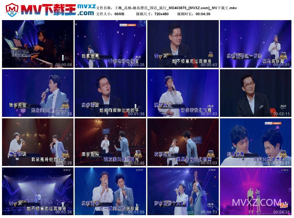 王晰_高杨-她真漂亮_国语_流行_MD403875